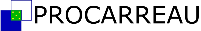 Logo Pro Carreau